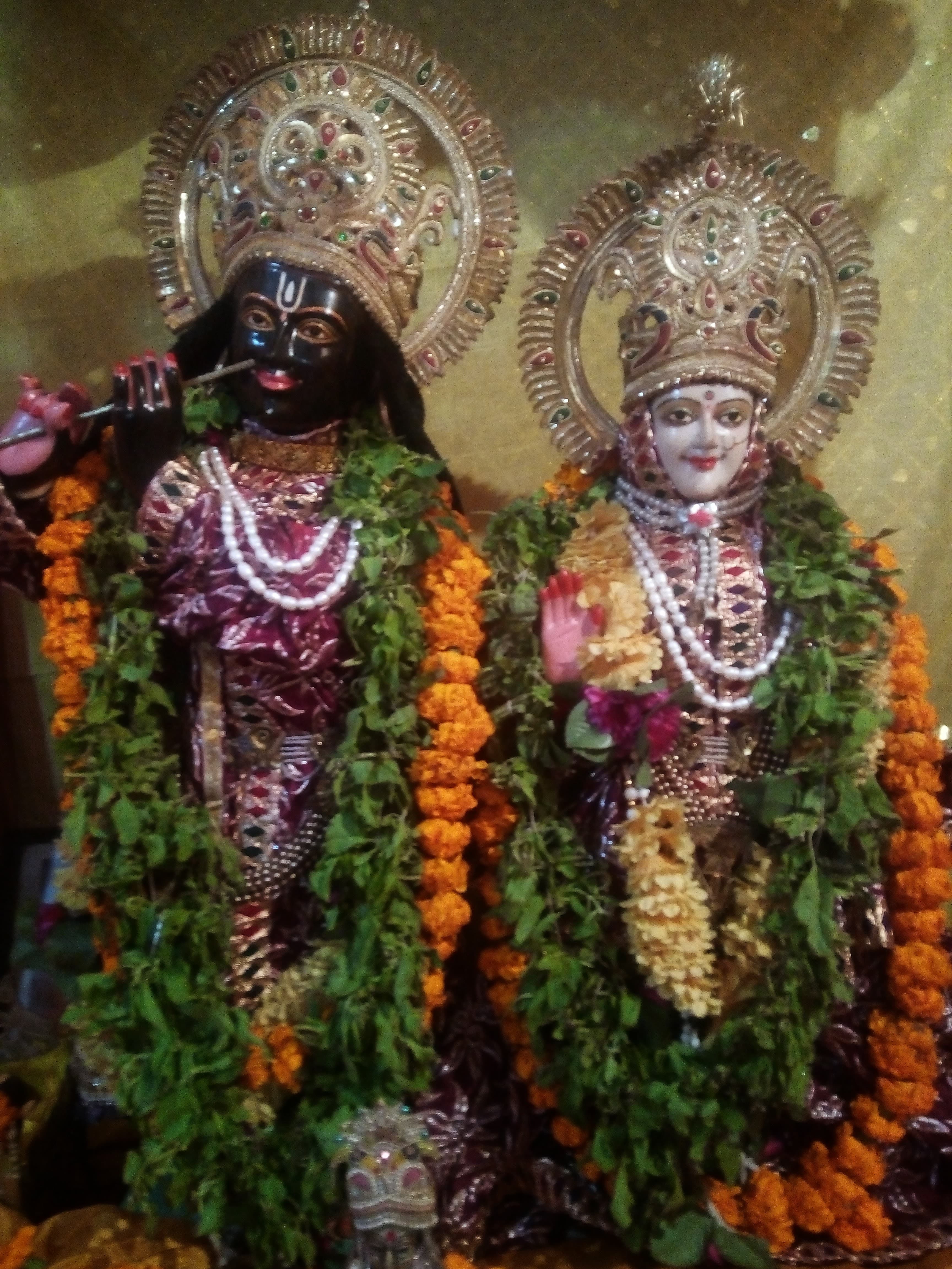 Tulsi seva at the temple